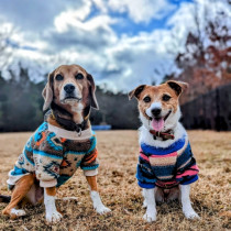 冬に多い犬の病気3つ｜おもな症状や犬のやけどについて紹介