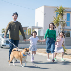 獣医師執筆 飼い主なら知っておきたい 犬がお留守番できる時間 について 記事 わんにゃ365 今日も明日もワンダフル