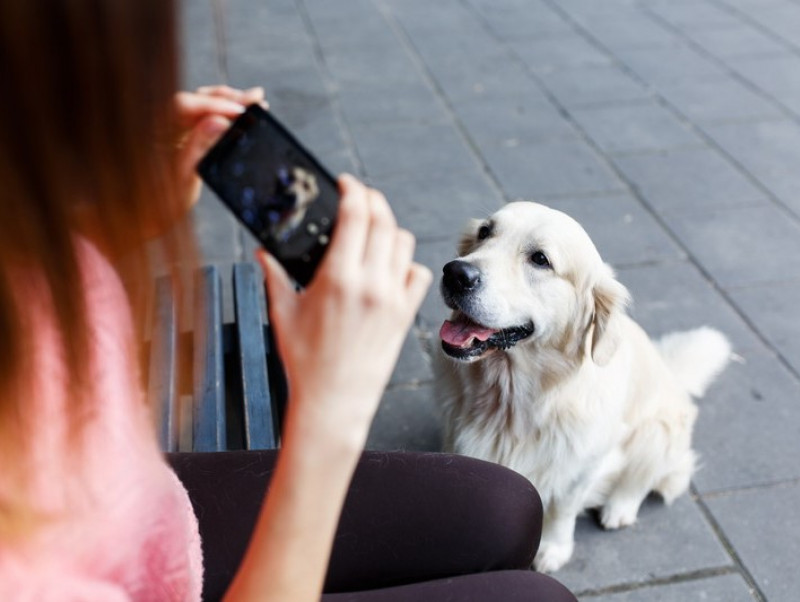 癒し度1 超え 犬の人気インスタグラマー3選 第3弾 記事 わんにゃ365 今日も明日もワンダフル