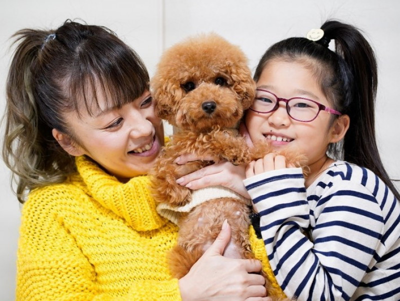 初めて迎えた愛犬の 瞳 トラブル 試したのはインスタで話題のアレ Pr 記事 わんにゃ365 今日も明日もワンダフル 初めて迎えた愛犬の 瞳 トラブル 試したのはインスタで話題のアレ Pr 記事 わんにゃ365 今日も明日もワンダフル