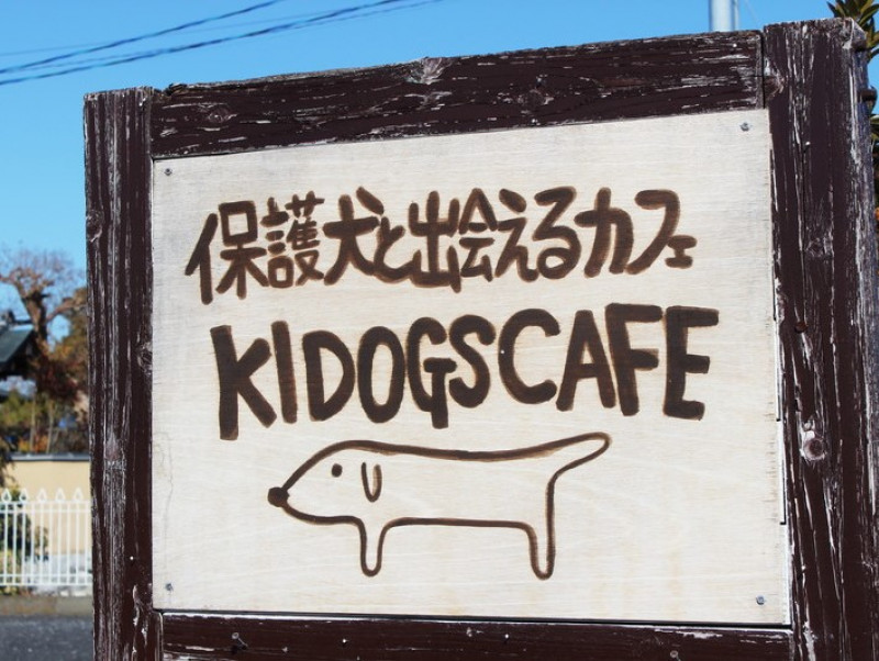 保護犬とふれあえる 茨城県 つくば市 キドックスカフェ の取り組みに密着 記事 わんにゃ365 今日も明日もワンダフル