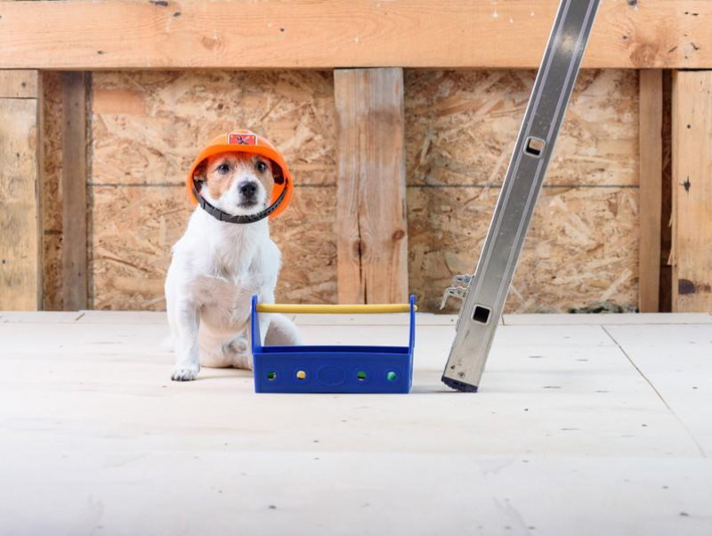 目が悪くなったシニア犬のために 玄関への落下を防ぐ 防止柵 を100均グッズでdiy 記事 わんにゃ365 今日も明日もワンダフル