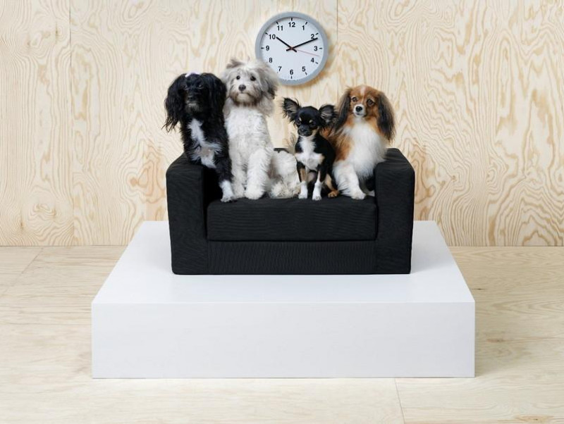 おしゃれ好きな愛犬 愛猫も納得 イケア のペット用品5選 記事 わんにゃ365 今日も明日もワンダフル おしゃれ好きな愛犬 愛猫も納得 イケア のペット用品5選 記事 わんにゃ365 今日も明日もワンダフル