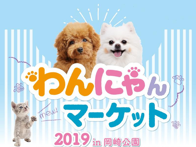 わかさ生活初ペット同伴イベント わんにゃんマーケット 開催 記事 わんにゃ365 今日も明日もワンダフル