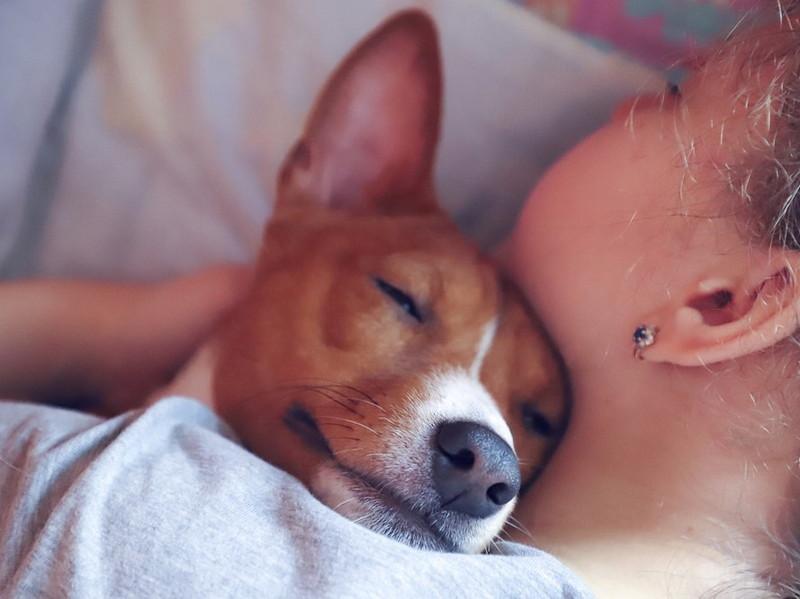 【獣医師執筆】遺伝、環境、それとも飼い主?犬の性格を決める要素ってなに?