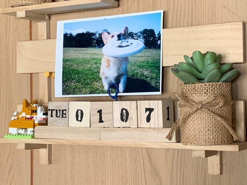 ずっと使える ペット写真を飾れる 万年カレンダー を100均でdiy 記事 わんにゃ365 今日も明日もワンダフル ずっと使える ペット写真を飾れる 万年カレンダー を100均でdiy 記事 わんにゃ365 今日も明日もワンダフル