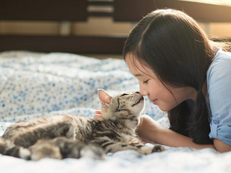 猫との添い寝は危険 猫の飼い主さんに知ってほしい 人獣共通感染症 ズーノーシス 記事 わんにゃ365 今日も明日もワンダフル