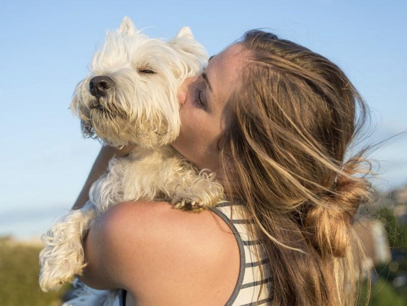 愛犬とのスキンシップで手足切断に ペットとのスキンシップで気を付けるべきこと 記事 わんにゃ365 今日も明日もワンダフル
