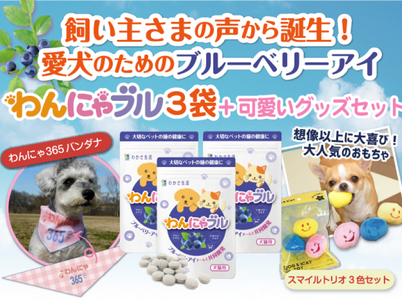 愛犬 愛猫のためのブルーベリーアイ わんにゃブル 3袋セットが登場 記事 わんにゃ365 今日も明日もワンダフル
