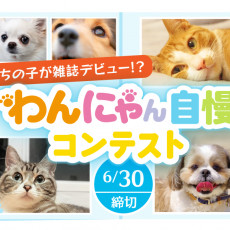 獣医師執筆 なぜ犬はうんちを食べるの 食糞と飲尿 の原因と正しくやめさせる方法 記事 わんにゃ365 今日も明日もワンダフル