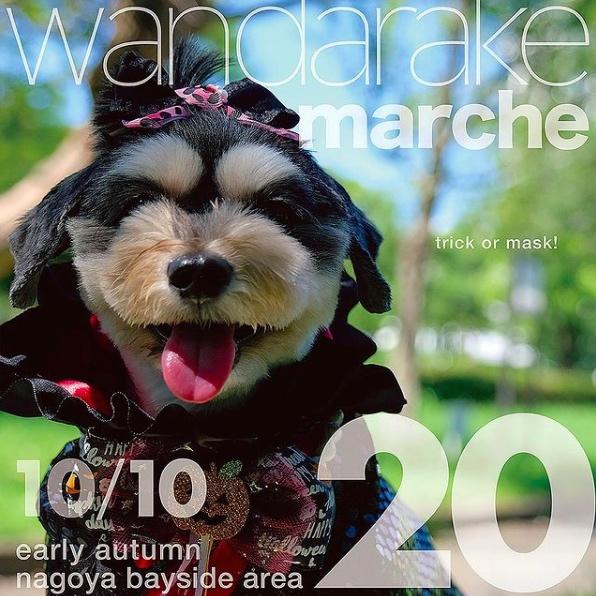初出展!「wandarake わんだらけ20」に参加します♪
