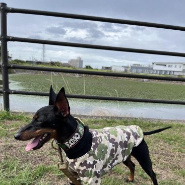 9月🌕お友達にお洋服をもらったよ！お揃いなんだってー🥰