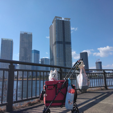 海がみたいの…なのなの⛵
都会の海を見てきまちた(*^-^*)