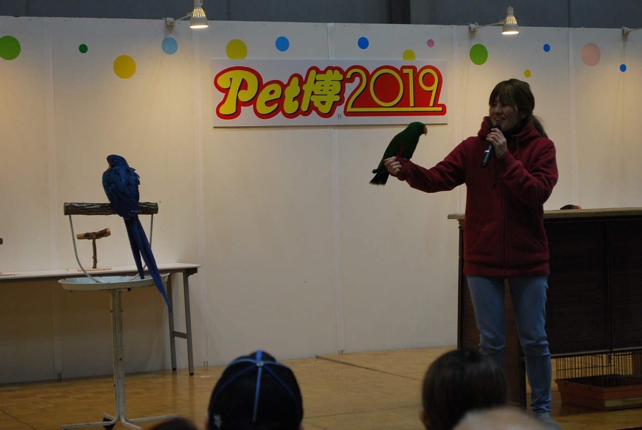 年明け最初のイベントはこれに決まり!参加・体験型のペットイベント「Pet博2020 横浜」
