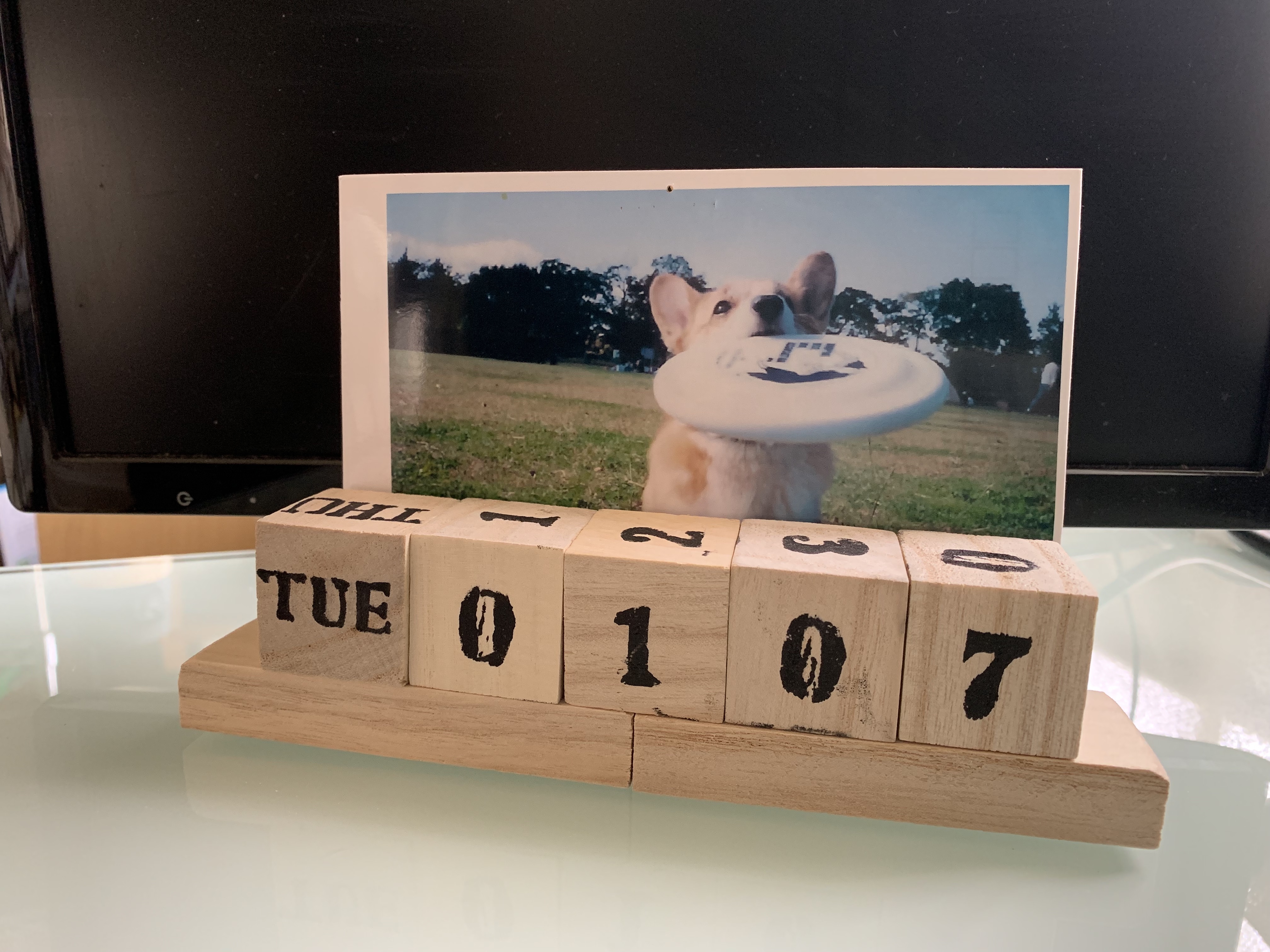 ずっと使える♡ペット写真を飾れる「万年カレンダー」を100均でDIY！