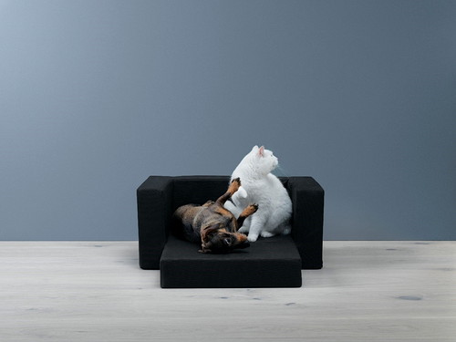 おしゃれ好きな愛犬＆愛猫も納得!?『IKEA（イケア）』のペット用品5選