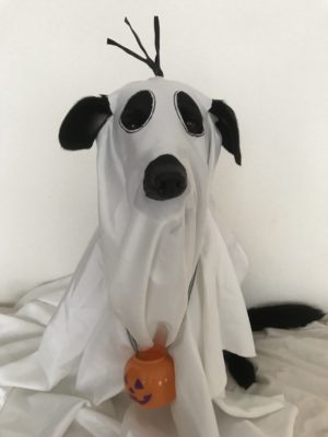 今年は一緒に楽しもう！愛犬の「ハロウィン仮装」お手軽アイデア3つ