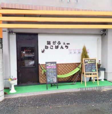 保護猫カフェってどんなところ 岐阜県羽島市 ねこぱんち の取り組みとは 記事 わんにゃ365 今日も明日もワンダフル
