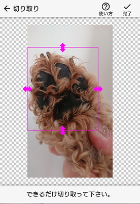 スマホアプリで簡単に作れる！愛犬の「肉球スタンプ」が可愛いオリジナル年賀状