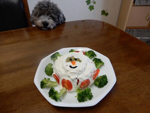 愛犬も大満足!? 自分で作れちゃう「犬用クリスマスケーキ」のレシピ