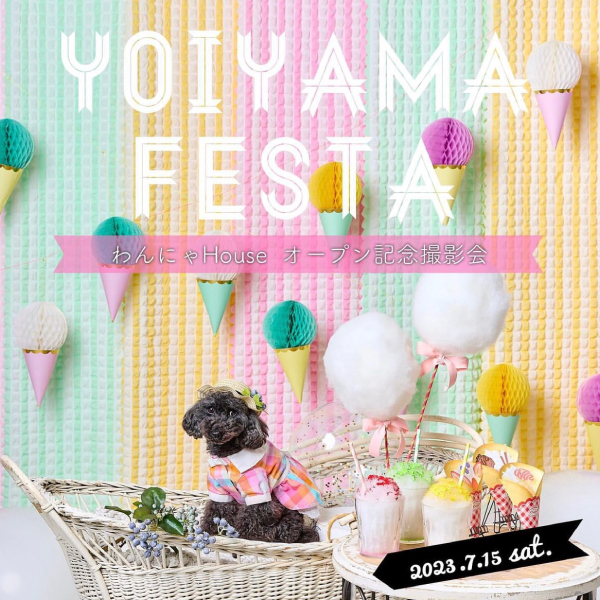 YOIYAMA FESTA