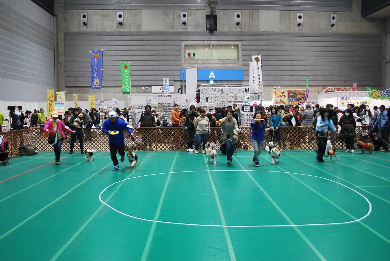 年明け最初のイベントはこれに決まり!日本最大級のペットイベント「Pet博2020横浜」