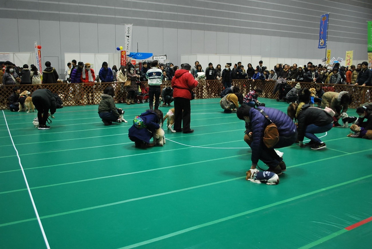 年明け最初のイベントはこれに決まり!参加・体験型のペットイベント「Pet博2020 横浜」