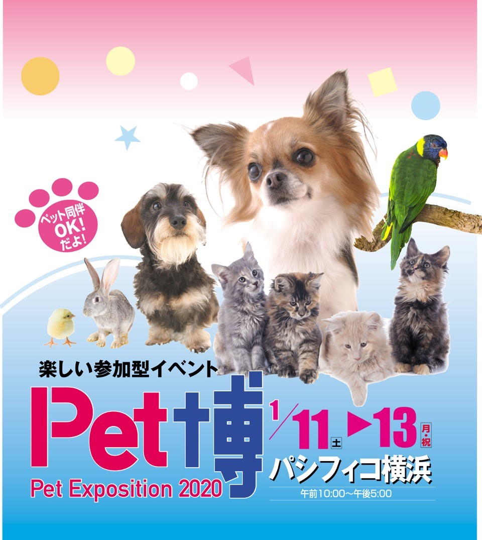 年明け最初のイベントはこれに決まり!参加・体験型のペットイベント「Pet博2020 横浜」