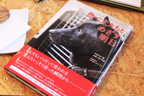 保護犬とふれあえる！茨城県・つくば市『キドックスカフェ』の取り組みに密着