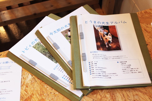 保護犬とふれあえる！茨城県・つくば市『キドックスカフェ』の取り組みに密着