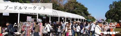 プードル&プードルミックス大集合!大人気イベント『プードルフェス2019』が開催