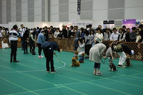日本初のペット同伴イベントと言えば!? 『Pet博2019 in幕張』開催