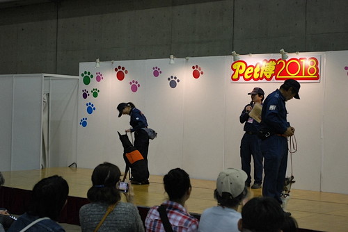 日本初のペット同伴イベントと言えば!? 『Pet博2019 in幕張』開催