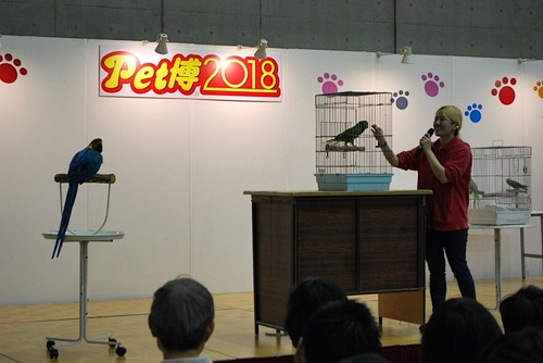 日本初のペット同伴イベントと言えば!? 『Pet博2019 in幕張』開催