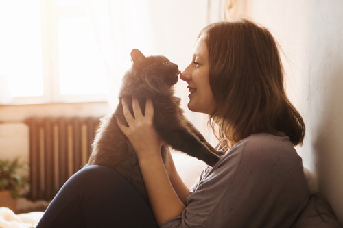 一体、猫の魅力ってなに？獣医師が紐解く「人と猫との関係性」