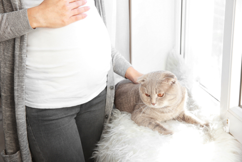 猫を飼っている妊婦さんは注意！「トキソプラズマ症」の概要と対策