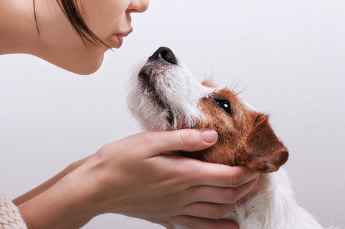 犬が「おしり」を嗅ぐのはなぜ？その理由と嗅覚のおもしろ雑学