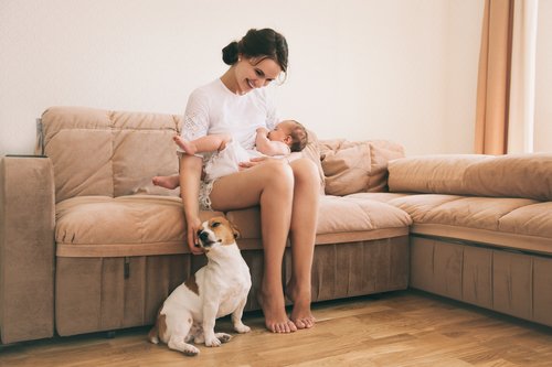 犬が赤ちゃんにやきもちするときはどうしたらいい？嫉妬行動の理由と対策