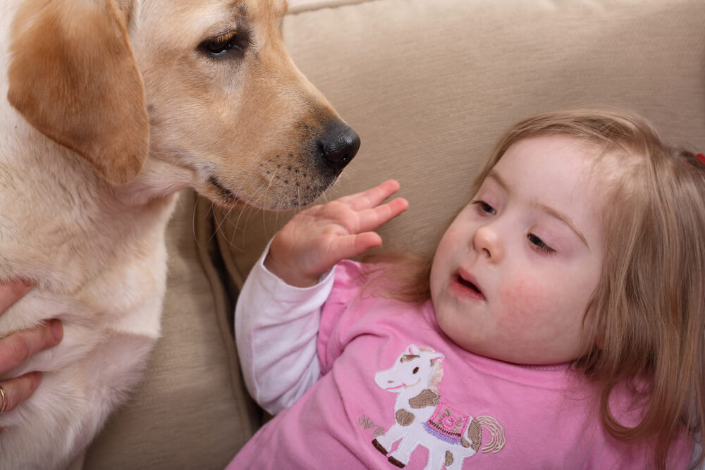 セラピー犬と病気の子供